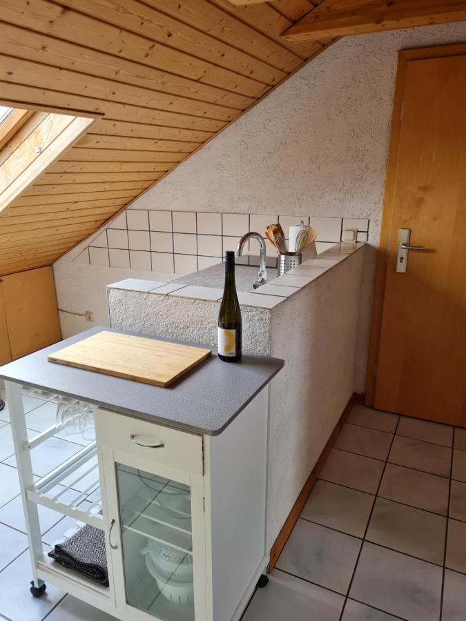 Chagall - Helles Und Gemuetliches Appartement Nahe Der Historischen Altstadt Mainz Dış mekan fotoğraf